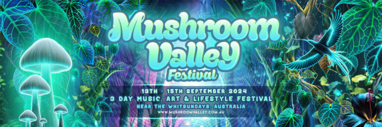 Mushroom Valley Festival 2024