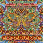 Psychedelic Experience Open Air 2024